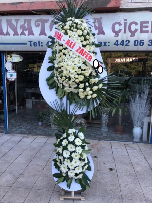 Beyaz Düş