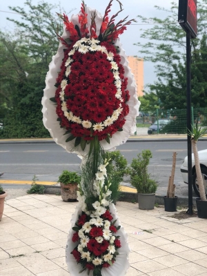 Kırmızılım