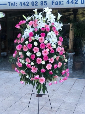 White Pink