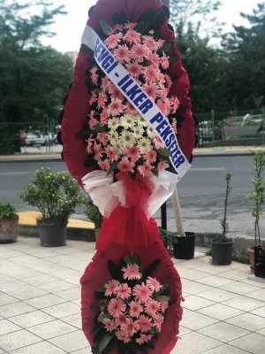 Pink Bridal Veil