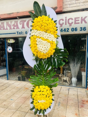 Yellow and White